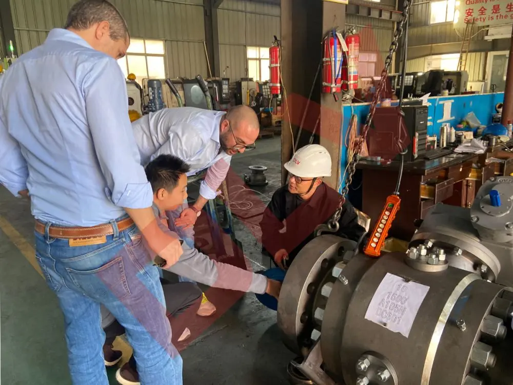 Customer inspection (1)tmc