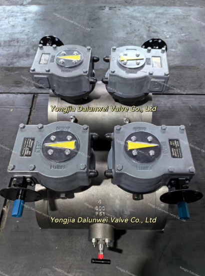 DBB Ball Valve-F51-4*4"