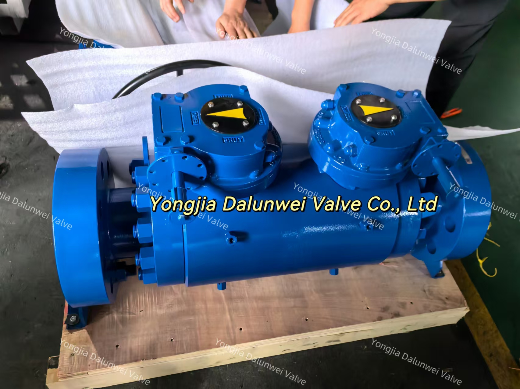 d1acd322db1ca04ccceba4037867cde.jpg