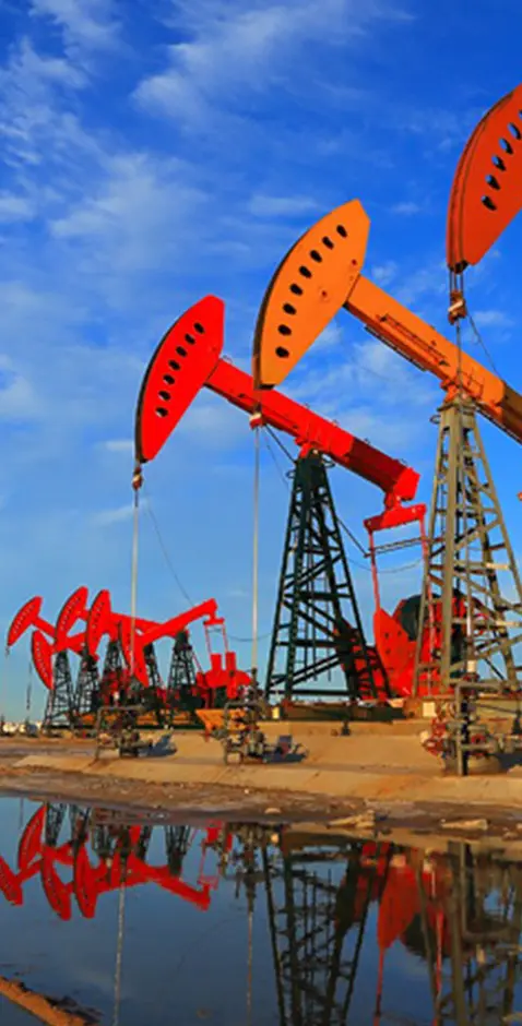 Petrochemical industry